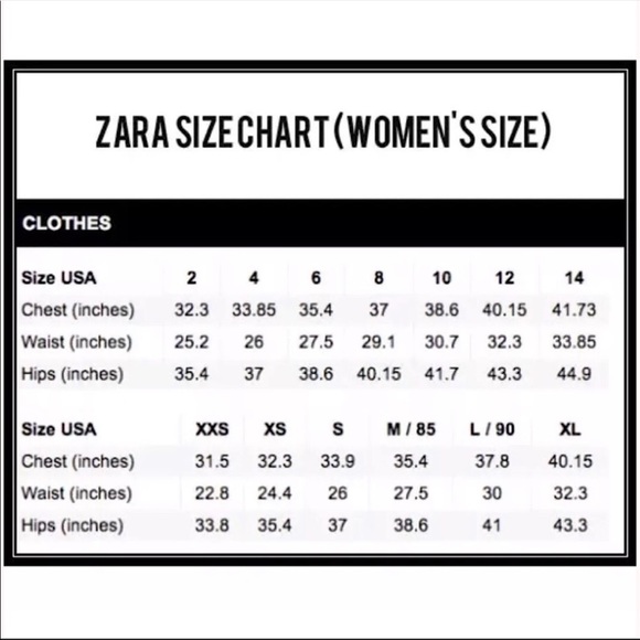 Zara Blogger Favorite Dress - Picture 9 of 9